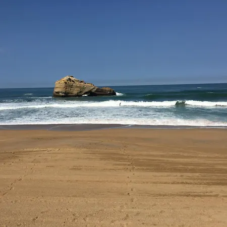 Apartman Prive Standing -le Regina Et Golf- *