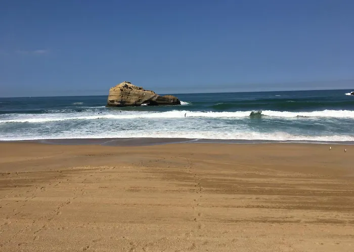 Apartman Prive Standing -le Regina Et Golf- *