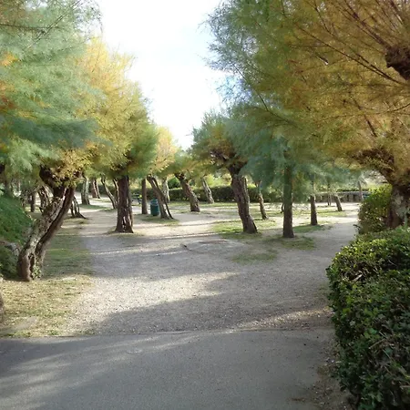公寓 Prive Standing -le Regina Et Golf- *